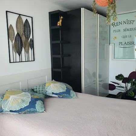 Apartment Cosy Entierement Equipe *