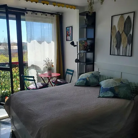 Cosy Entierement Equipe Toulouse