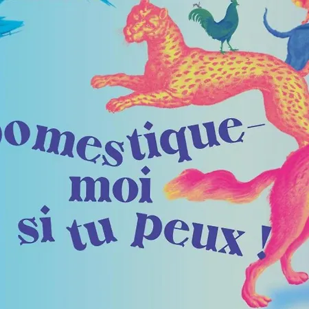 Cosy Entierement Equipe * Toulouse