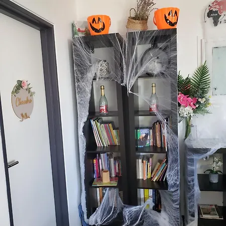 Cosy Entierement Equipe Toulouse